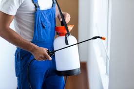 Best Residential Pest Control  in Craig, AK